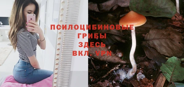 молекула духа Баксан